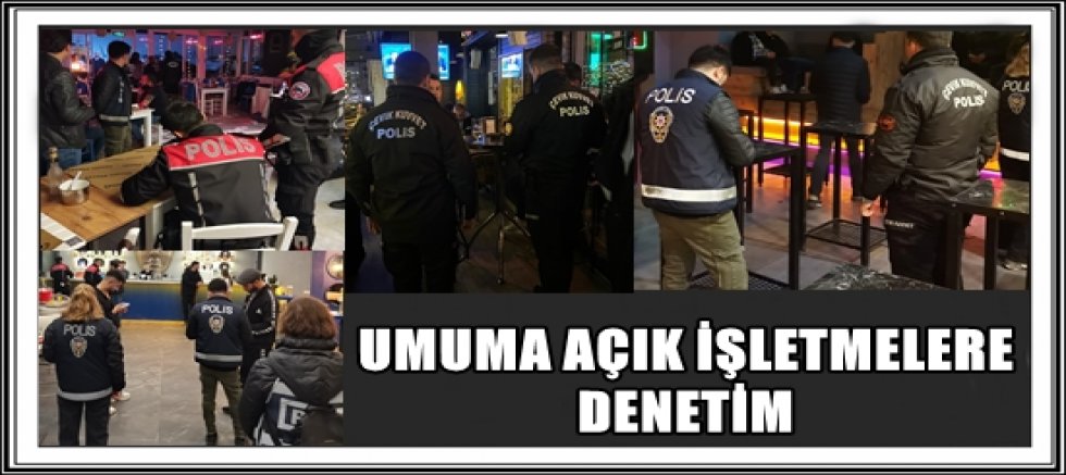 UMUMA AÇIK İŞLETMELERE DENETİM