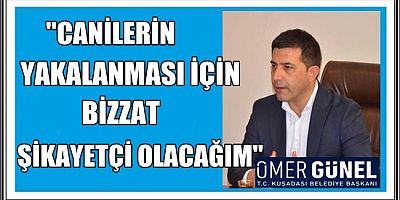 4 YAVRU KÖPEK İŞKENCE YAPILARAK ÖLDÜRÜLDÜ