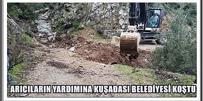 ARICILARIN YARDIMINA KUŞADASI BELEDİYESİ KOŞTU