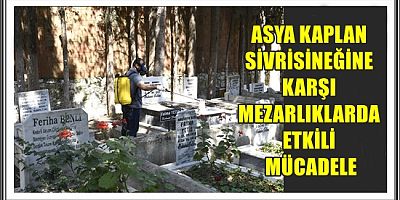ASYA KAPLAN SİVRİSİNEĞİNE KARŞI MEZARLIKLARDA ETKİLİ MÜCADELE 