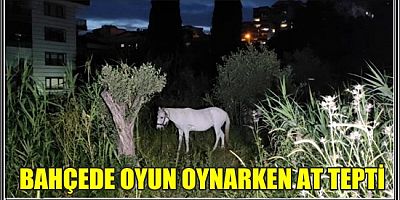 BAHÇEDE OYUN OYNARKEN AT TEPTİ