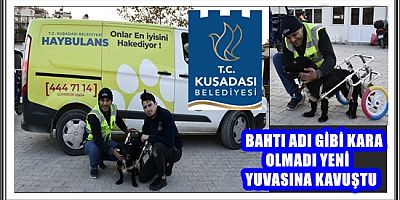 BAHTI ADI GİBİ KARA OLMADI YENİ YUVASINA KAVUŞTU