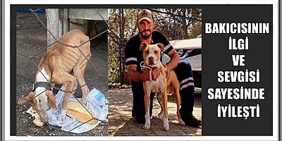BAKICISININ İLGİ VE SEVGİSİ SAYESİNDE İYİLEŞTİ