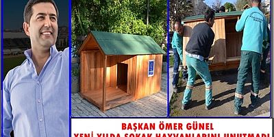 BAŞKAN ÖMER GÜNEL YENİ YILDA SOKAK HAYVANLARINI UNUTMADI