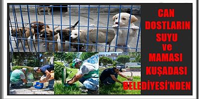 CAN DOSTLARIN SUYU VE MAMASI KUŞADASI BELEDİYESİ’NDEN