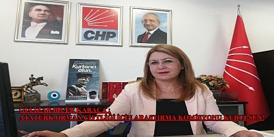 CHP'DEN ARAŞTIRMA KOMİSYONU  ÖNERGESİ