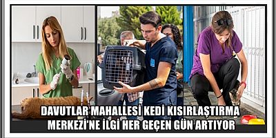 DAVUTLAR MAHALLESİ KEDİ KISIRLAŞTIRMA MERKEZİ’NE İLGİ HER GEÇEN GÜN ARTIYOR