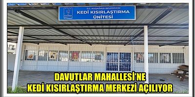 DAVUTLAR MAHALLESİ’NE KEDİ KISIRLAŞTIRMA MERKEZİ AÇILIYOR  