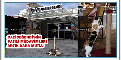 GAZİBEĞENDİ’NİN PATİLİ MÜDAVİMLERİ ARTIK DAHA MUTLU