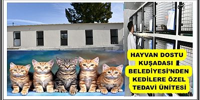 HAYVAN DOSTU KUŞADASI BELEDİYESİ’NDEN KEDİLERE ÖZEL TEDAVİ ÜNİTESİ 