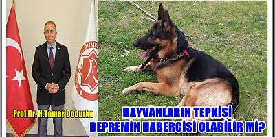 HAYVANLARIN TEPKİSİ DEPREMİN HABERCİSİ OLABİLİR Mİ?