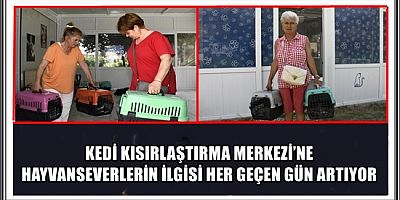 KEDİ KISIRLAŞTIRMA MERKEZİ’NE HAYVANSEVERLERİN İLGİSİ HER GEÇEN GÜN ARTIYOR