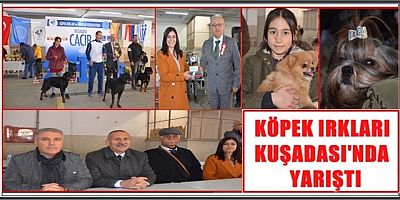 KÖPEK IRKLARI KUŞADASI'NDA YARIŞTI