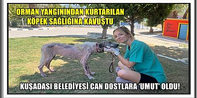 KUŞADASI BELEDİYESİ CAN DOSTLARA ‘UMUT’ OLDU!