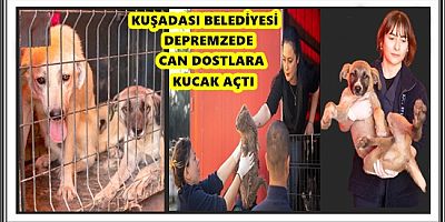 KUŞADASI BELEDİYESİ DEPREMZEDE CAN DOSTLARA KUCAK AÇTI