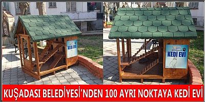 KUŞADASI BELEDİYESİ’NDEN 100 AYRI NOKTAYA KEDİ EVİ