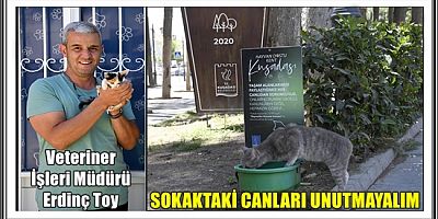 KUŞADASI BELEDİYESİ VETERİNER İŞLERİ MÜDÜRÜ UYARDI: PATİLİ DOSTLARINIZI AŞIRI SICAKTAN KORUYUN