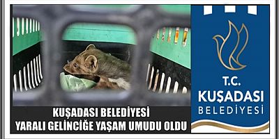KUŞADASI BELEDİYESİ YARALI GELİNCİĞE YAŞAM UMUDU OLDU