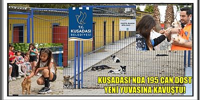 KUŞADASI’NDA 195 CAN DOST YENİ YUVASINA KAVUŞTU!