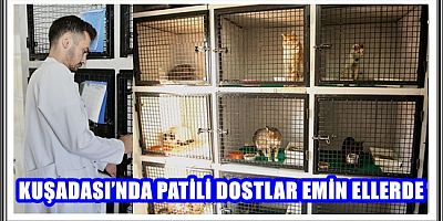 KUŞADASI’NDA PATİLİ DOSTLAR EMİN ELLERDE