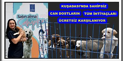 KUŞADASI’NDA SAHİPSİZ CAN DOSTLARIN TÜM İHTİYAÇLARI ÜCRETSİZ KARŞILANIYOR