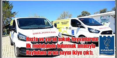 KUŞADASI’NDA SOKAK HAYVANLARININ YAŞAM UMUDU İKİYE KATLANDI