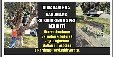 KUŞADASI’NDA VANDALLAR ‘BU KADARINA DA PES’ DEDİRTTİ
