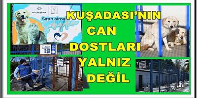 KUŞADASI’NIN CAN DOSTLARI YALNIZ DEĞİL