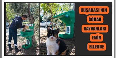 KUŞADASI’NIN SOKAK HAYVANLARI EMİN ELLERDE