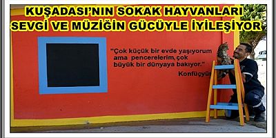 KUŞADASI’NIN SOKAK HAYVANLARI SEVGİ VE MÜZİĞİN GÜCÜYLE İYİLEŞİYOR