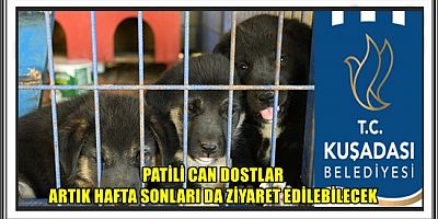 PATİLİ CAN DOSTLAR ARTIK HAFTA SONLARI DA ZİYARET EDİLEBİLECEK 