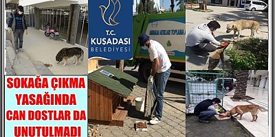 SOKAĞA ÇIKMA YASAĞINDA CAN DOSTLAR DA UNUTULMADI