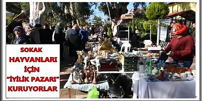 SOKAK HAYVANLARI İÇİN “İYİLİK PAZARI” KURUYORLAR 